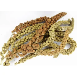 Esve Pet Bouquet Koker Trosgierst - Vogelsnack - 200 g