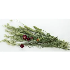 Esve Pet Bouquet Weidegewas - Knaagdiersnack - 100 g