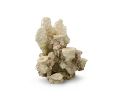 Europet Bernina Decor Koraalrif Xs - Aquarium - Ornament