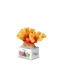 Europet Bernina Decor Koraal M - Aquarium - Ornament - 12x10x8 cm Geel Rood