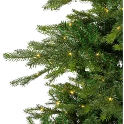 Everlands Kunstkerstboom Grandis Fir - Kerstboom - Ø162x240 cm Groen Warm Wit 700