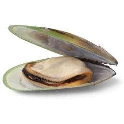 Excellent Dog Mobility Plus - Voedingssupplement - Gewrichten - Spieren - 100 g