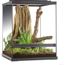 Exo Terra Frog Boomkikker Terrarium - Terraria - 45x45x60 cm