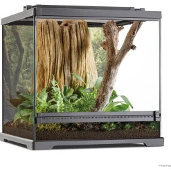 Exo Terra Frog Pijlgifkikker Terrarium - Terraria - 45.7x45x45 cm