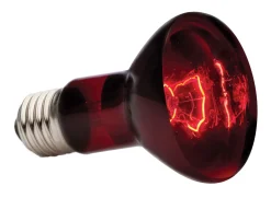 Exo Terra Infrared Basking Spot - Verwarming