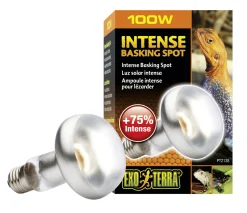 Exo Terra Intense Basking Spot - Verwarming