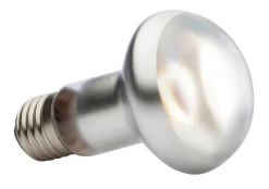 Exo Terra Intense Basking Spot - Verwarming