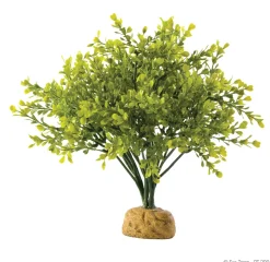 Exo Terra Rainforest Plant Boxwood Bush - Kunstplanten - per stuk