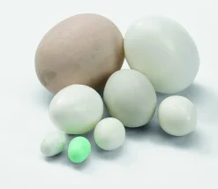 Fauna Ei Voor Grote Parkiet Plastic - Vogelbroedbenodigheden - per stuk