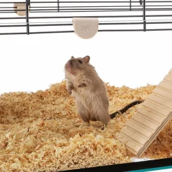 Ferplast Knaagdierenkooi Karat 60 Zwart&Transparant - Dierenverblijf