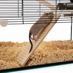 Ferplast Knaagdierenkooi Karat 60 Zwart&Transparant - Dierenverblijf