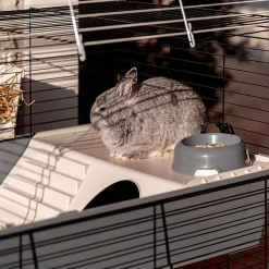 Ferplast Konijnenkooi Rabbit 100 Dubbel - Dierenverblijf - 95x57x93.5 cm Grijs