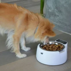 Ferplast Optima Voerbak Met Weegschaal - Hondenvoerbak - 24.5x25.5x12.5 cm Wit