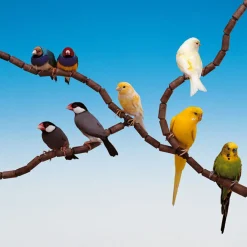 Ferplast Zitstok Flex 4190 Set A 79 Pcs - Vogelverblijven - 12 mm