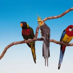 Ferplast Zitstok Flex 4192 Set A 79 Pcs - Vogelverblijven - 16 mm