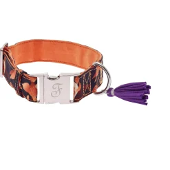 Ferribiella Kami Collar M - Hondenhalsband - Oranje 29-45x3.0 Cm