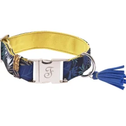 Ferribiella Kami Collar M - Hondenhalsband - Geel 29-45x3.0 Cm