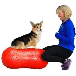 Fitpaws Peanut Trax - Hondenspeelgoed - 50 cm Rood