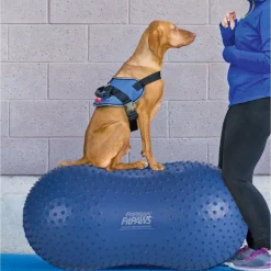 Fitpaws Peanut Trax - Hondenspeelgoed - 60 cm Blauw