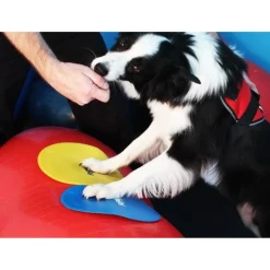 Fitpaws Targets - Hondenspeelgoed - 4 stuks