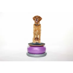 Fitpaws Wobble Board - Hondenspeelgoed
