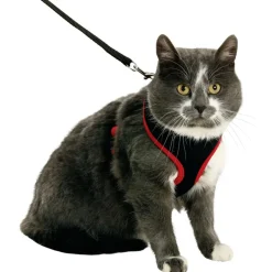 Flamingo Harms Kittentuig + Lijn - Kattenharnas - Zwart Rood 110cm 10mm