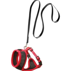 Flamingo Harnas Met Looplijn Harms - Kattentuigje - Zwart Rood 120cm 15mm