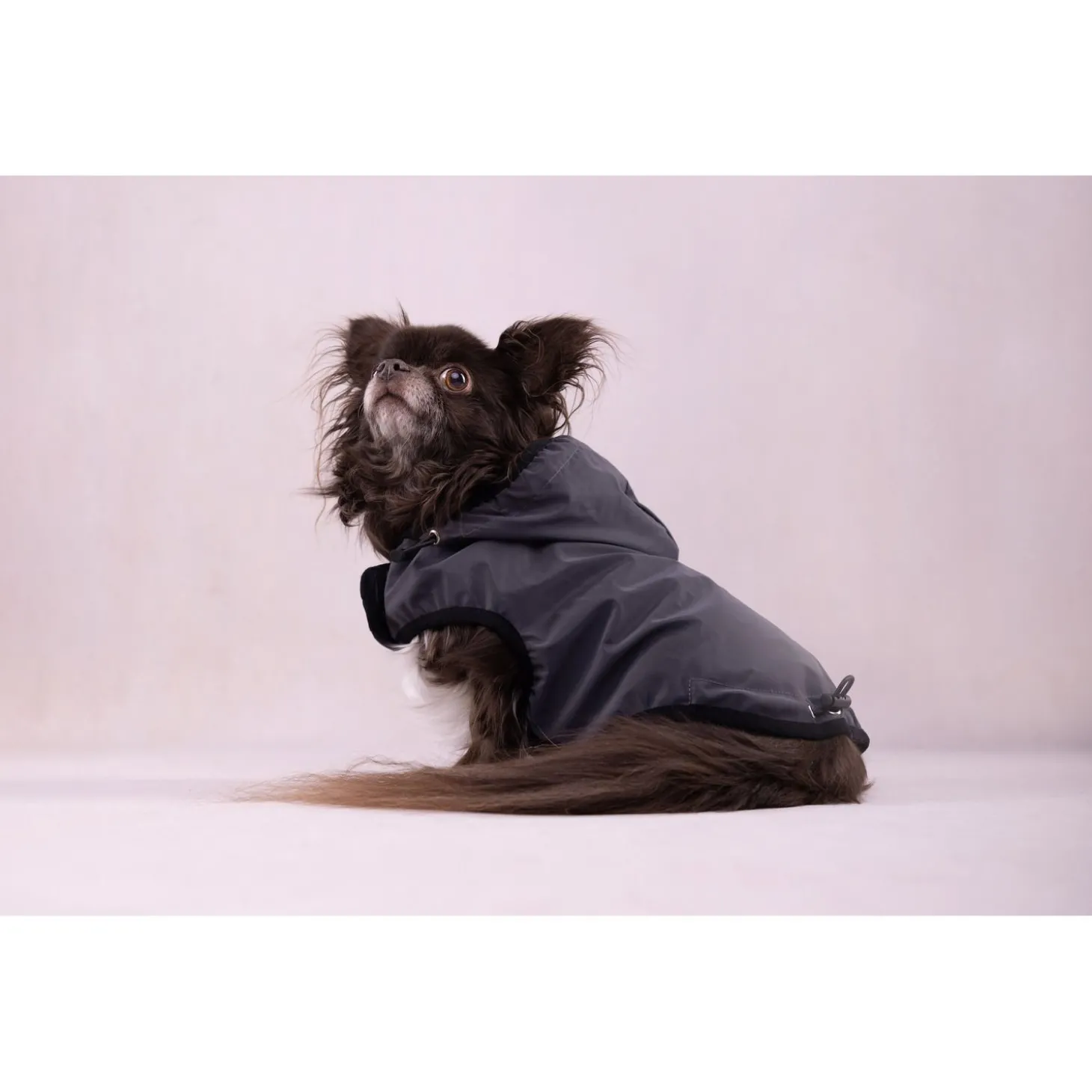 Flamingo Hondenjas Luza Grijs - Hondenkleding