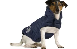 Flamingo Jas Paw - Hondenkleding