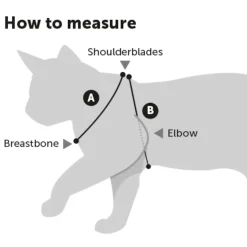 Flamingo Kattenharnas + Lijn Arwen - Kattentuigje - Blauw Print 20-35cm 10mm