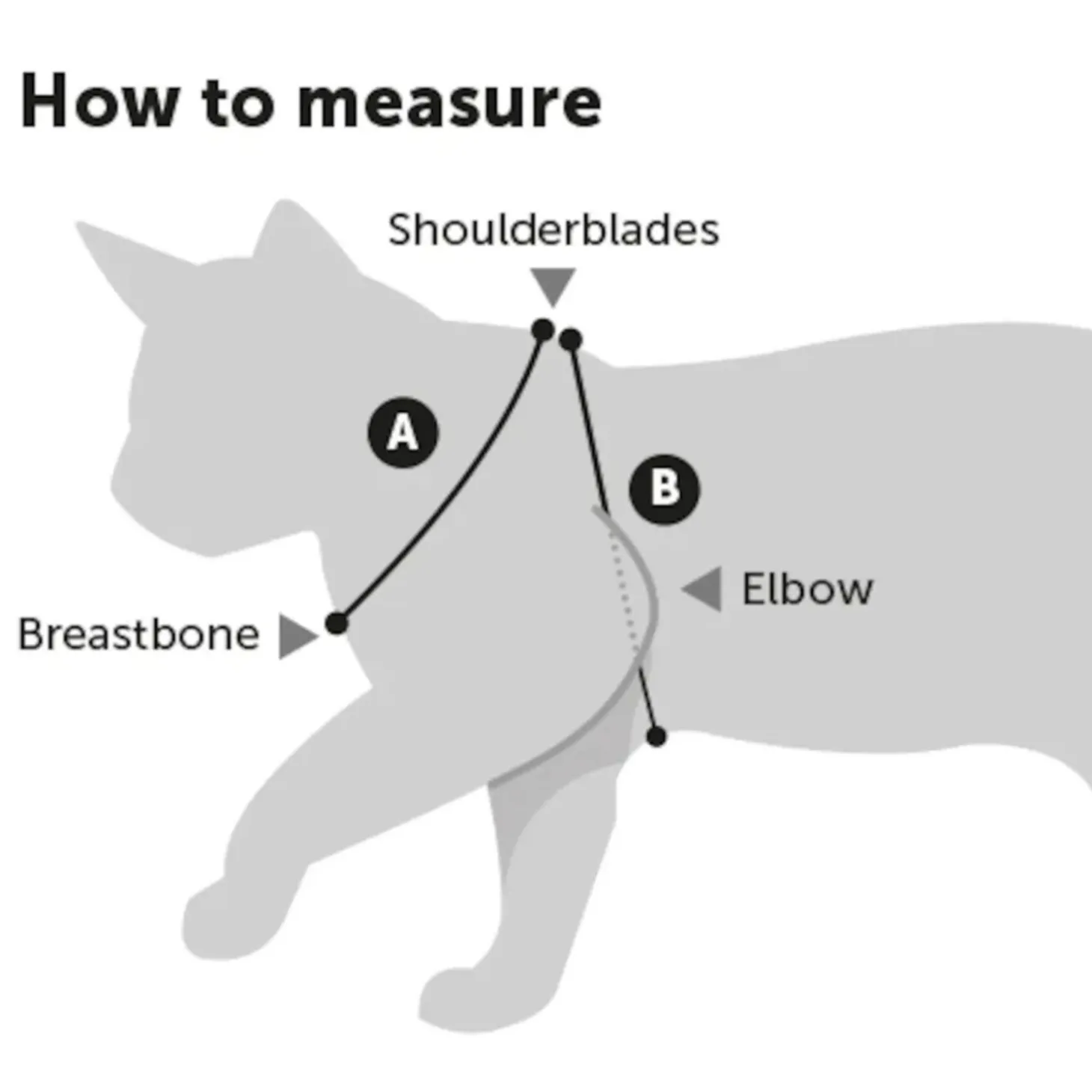 Flamingo Kattenharnas + Lijn Grote Kat Alfry - Kattentuigje - Assorti 25-40cm 10mm