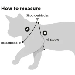 Flamingo Kittenharnas + Lijn Ziggi - Kattentuigje - Rood 120cm 10mm