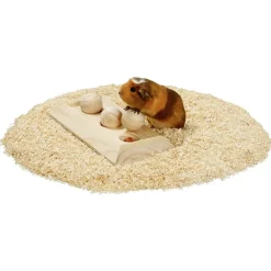 Flamingo Knaagdierspeelgoed Rody Brain Train Plaat 3 Kogels - Speelgoed - 30x15x5.5 cm Natural
