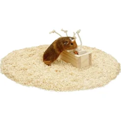 Flamingo Knaagdierspeelgoed Rody Brain Train Kist - Speelgoed - 21.3x8.5x7.3 cm Natural