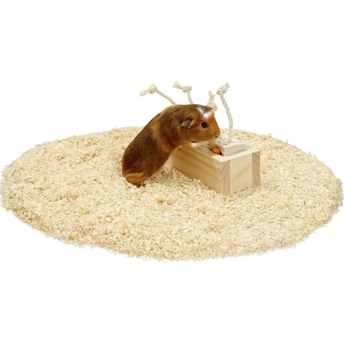 Flamingo Knaagdierspeelgoed Rody Brain Train Kist - Speelgoed - 21.3x8.5x7.3 cm Natural