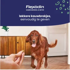 Flexadin Young Dog Maxi - Chews - Gewricht-Supplement - 60 stuks ><noscript><img width=