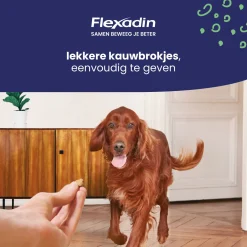 Flexadin Young Dog Maxi - Chews - Gewricht-Supplement - 60 stuks ><noscript><img width=