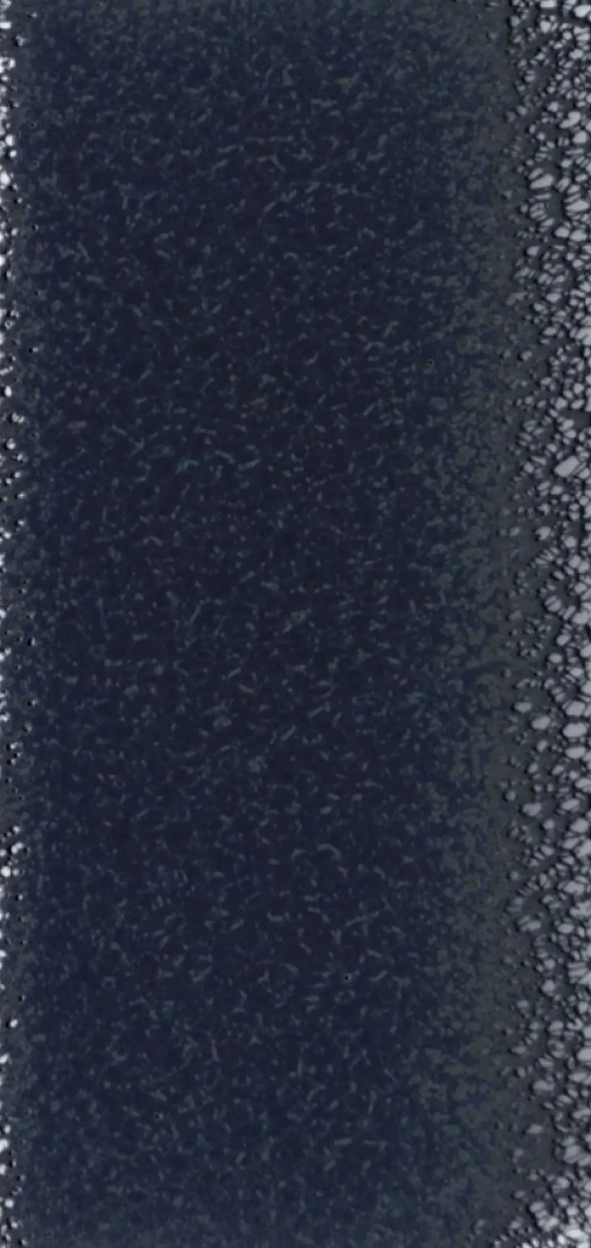 Fluval Filter Pro Vac Plus - Onderhoud - Zwart 2 stuks