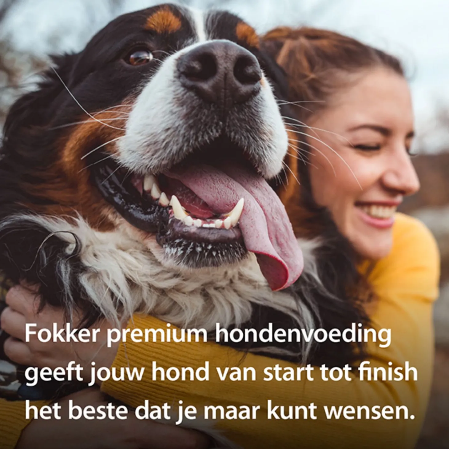 Fokker Special-Fit 1 - Hondenvoer - 2.5 kg