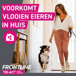Frontline Frontline Tri-Act Xl - Apotheek - 6 ml 3 pip 40- 60 Kg Xl