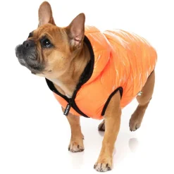 Fuzzyard Aeon Hoodie Oranje - Hondenkleding