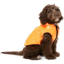 Fuzzyard Aeon Hoodie Oranje - Hondenkleding