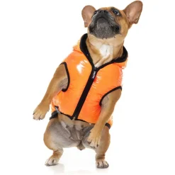 Fuzzyard Aeon Hoodie Oranje - Hondenkleding