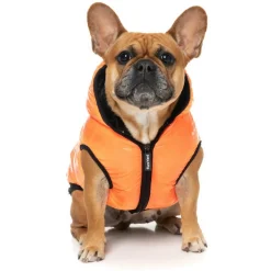 Fuzzyard Aeon Hoodie Oranje - Hondenkleding