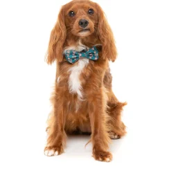 Fuzzyard Honden Bandana En Strik  I Heart Candy Canes - Hondenkleding - S/M