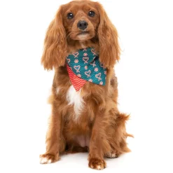 Fuzzyard Honden Bandana En Strik  I Heart Candy Canes - Hondenkleding - S/M