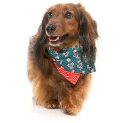 Fuzzyard Honden Bandana En Strik  I Heart Candy Canes - Hondenkleding - S/M