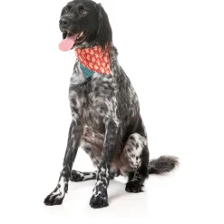 Fuzzyard Honden Bandana En Strik Holly Jolly Cookies - Hondenkleding - S/M