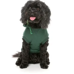 Fuzzyard Honden Hoodie Flash - Hondenkleding - Groen Size 6