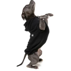 Fuzzyard Honden Hoodie Flash - Hondenkleding - Zwart Size 3